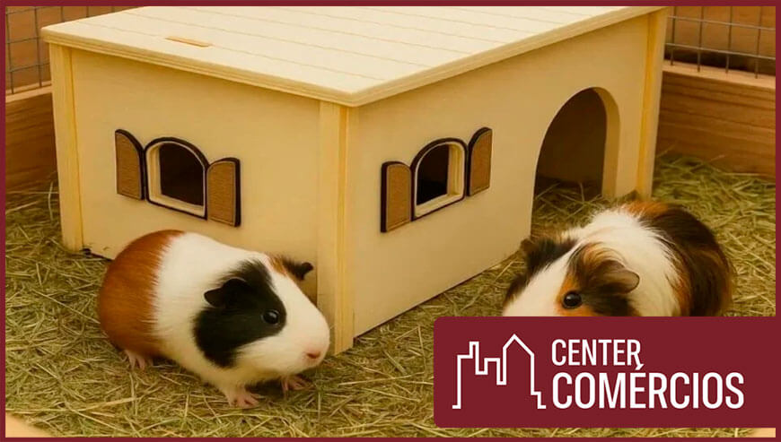 INDÚSTRIA DE PRODUTOS PET