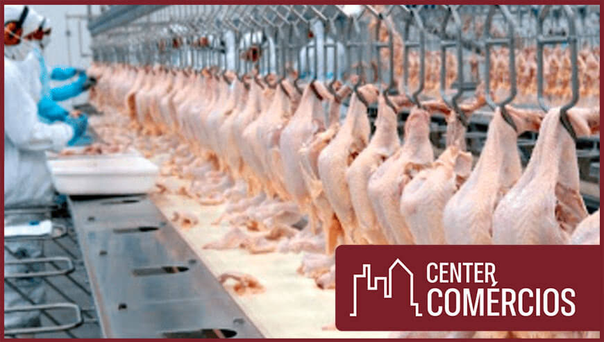 GRANJA DE FRANGOS A VENDA