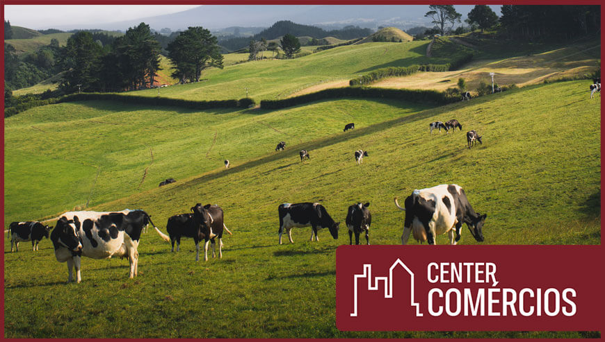 FAZENDA AGRO NEGOCIO A VENDA