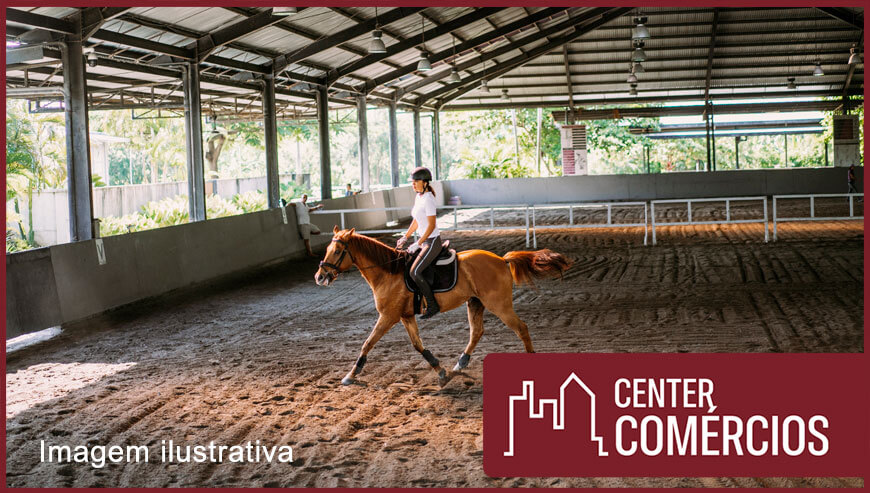 HARAS AUTO PADRAO MG.